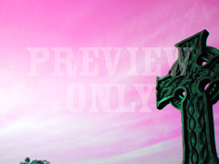 CELTIC PINK